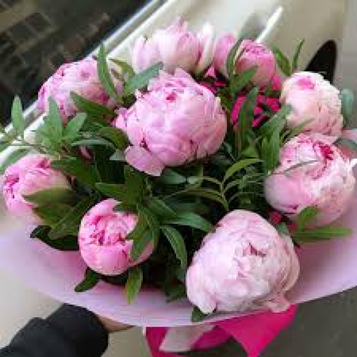 Пион древовидный в Зайсане