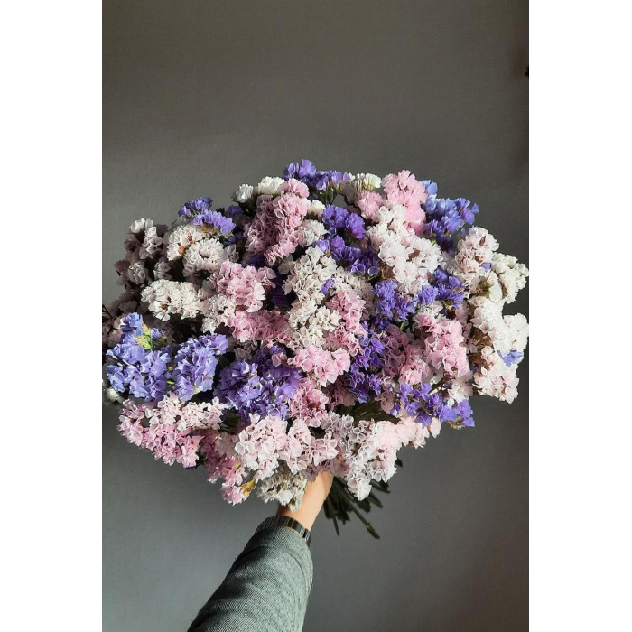 Статица (Лимониум) в Зайсане