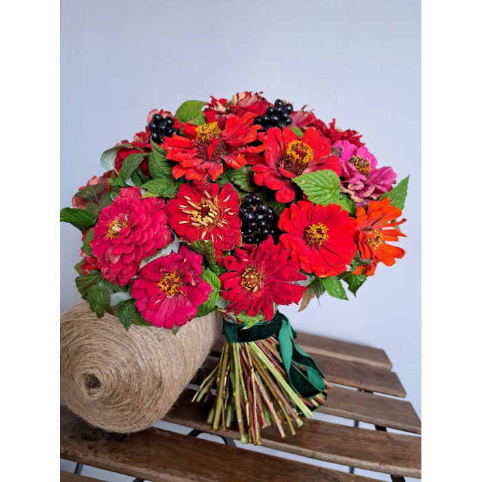 Циния в Зайсане