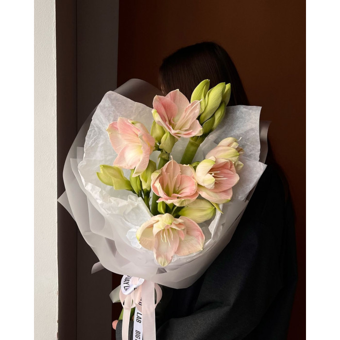 Амариллис в Зайсане