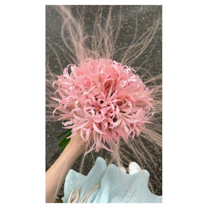 Нерине в Зайсане