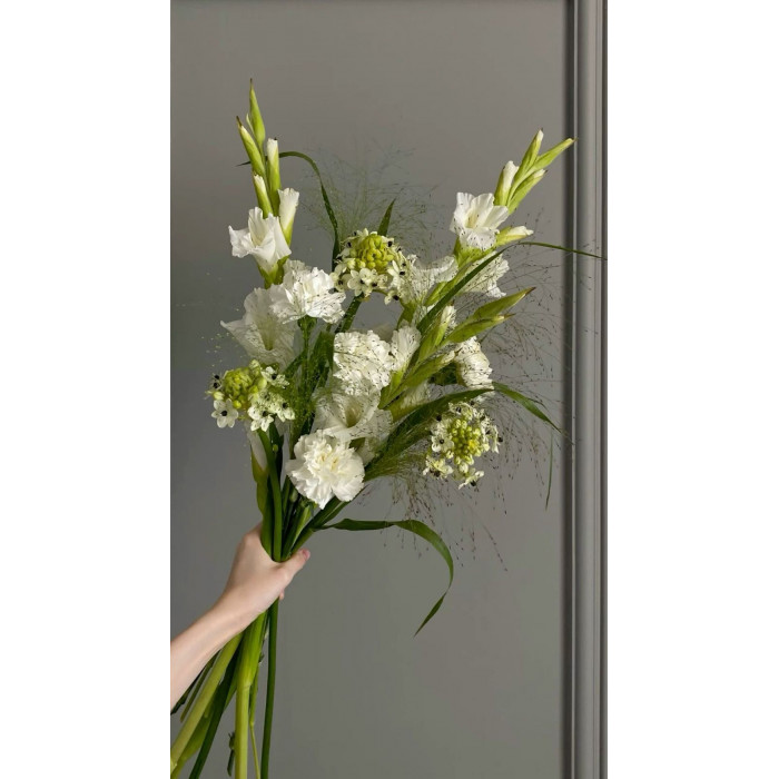 Орнитогалум в Зайсане