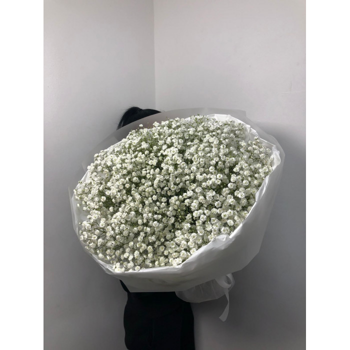 Гипсофила классическая в Зайсане