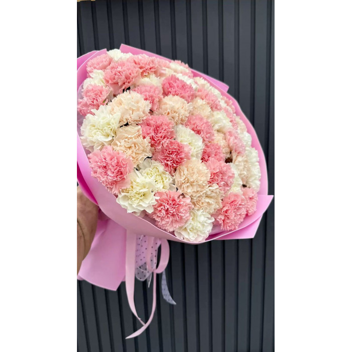 Диантусы в Зайсане