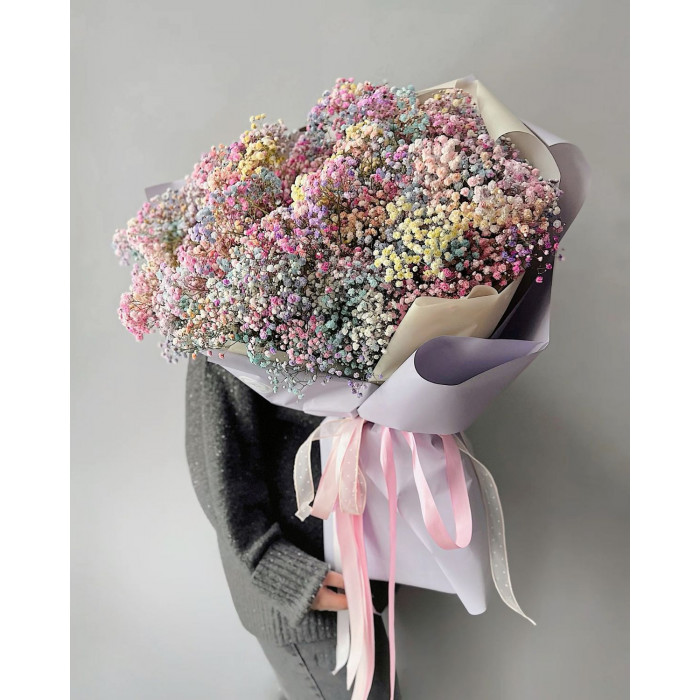 Гипсофила цветная в Зайсане