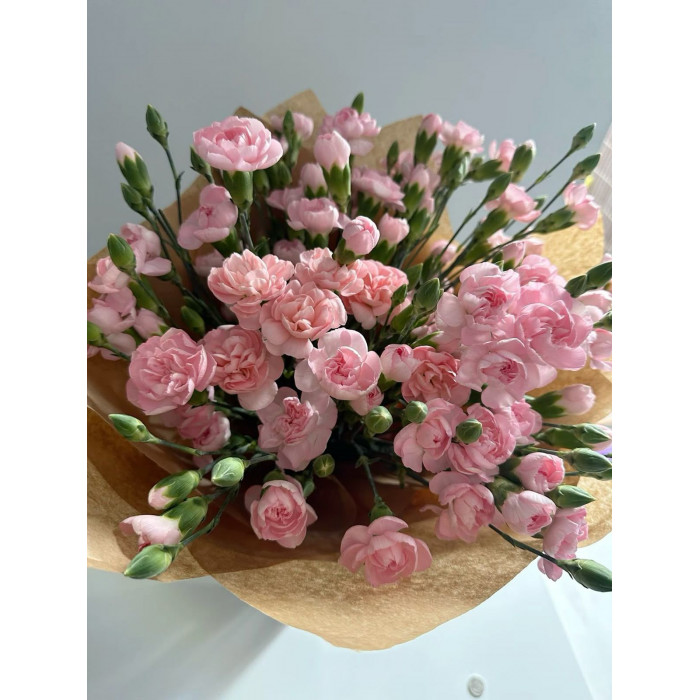 Кустовые гвоздики в Зайсане