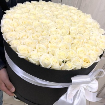 101 white roses in a box