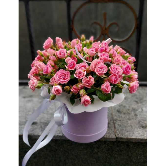 Pink dream Pink dream