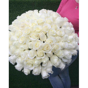 Букет из 101 белой розы Букет из 101 белой розы