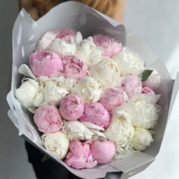 41 пион 41 пион