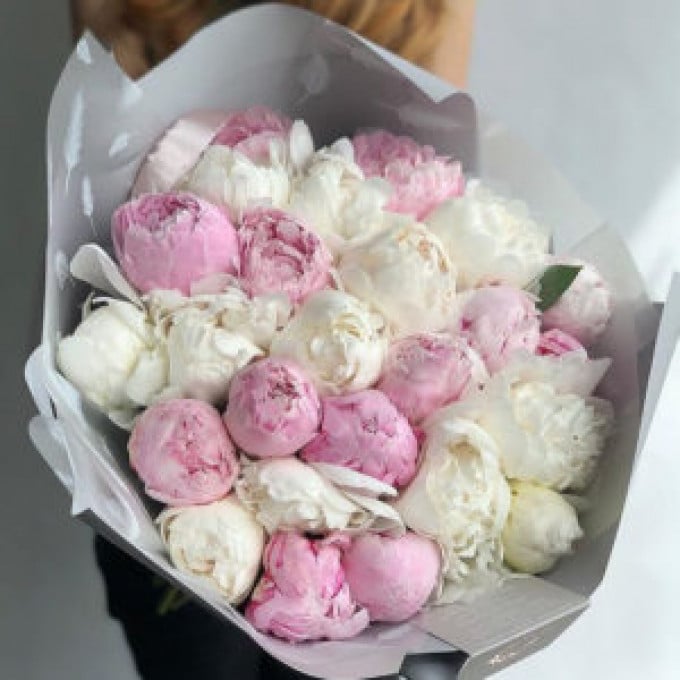 41 пион 41 пион