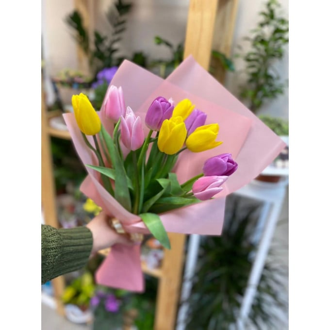 11 тюльпанов