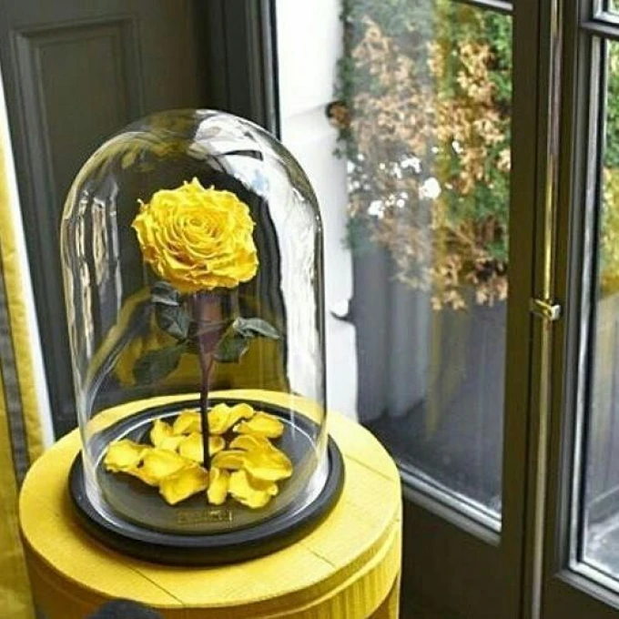 Роза в колбе желтая Роза в колбе желтая