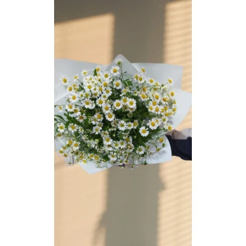Воздушный букет из полевых ромашек